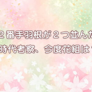 ２番手羽根が２つ並んだ 時代考察、今度花組は？