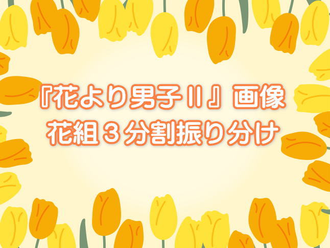 黄色にチューリップの画像